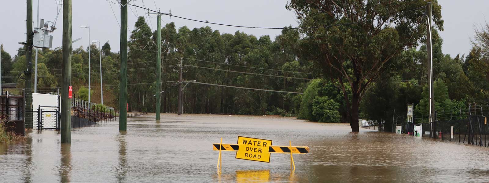 Storm Damage Restoration and Cleanup