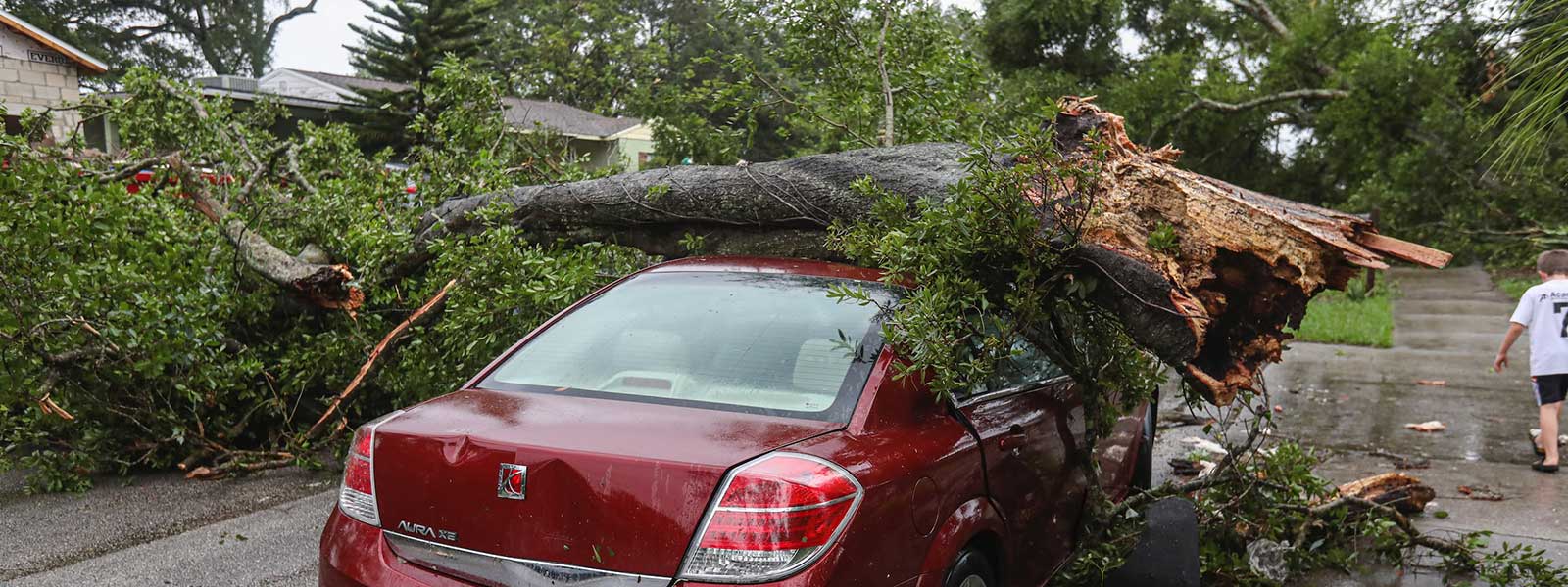 Storm Damage Cleanup